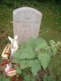 image of grave number 410380